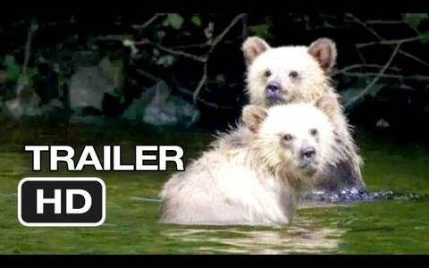 Bears(2014) - zwiastuny | Kinomaniak.pl