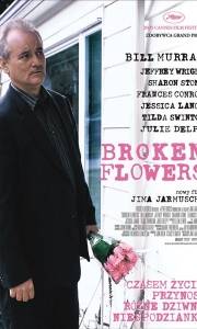 Broken flowers online (2005) | Kinomaniak.pl