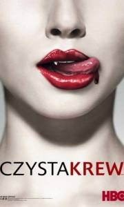 Czysta krew online / True blood online (2008-) | Kinomaniak.pl