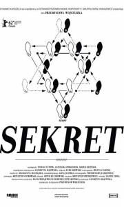 Sekret online (2012) | Kinomaniak.pl