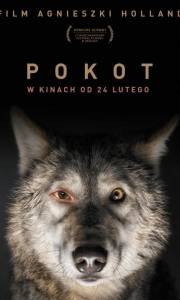 Pokot online (2017) | Kinomaniak.pl