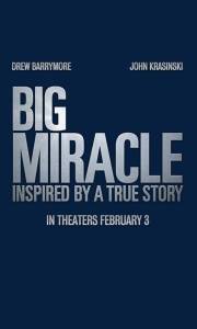 Na ratunek wielorybom online / Big miracle online (2012) | Kinomaniak.pl