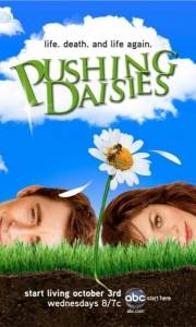 Gdzie pachną stokrotki online / Pushing daisies online (2007) | Kinomaniak.pl