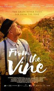 Winowajca online / From the vine online (2019) | Kinomaniak.pl