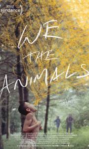 My, zwierzęta online / We the animals online (2018) | Kinomaniak.pl