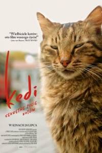 Kedi - sekretne życie kotów/ Kedi(2016)- obsada, aktorzy | Kinomaniak.pl