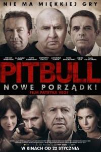 Pitbull. nowe porządki online (2016) | Kinomaniak.pl
