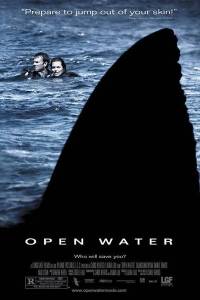 Ocean strachu online / Open water online (2003) | Kinomaniak.pl