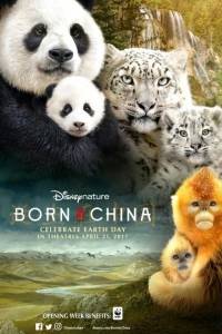 Born in china(2016)- obsada, aktorzy | Kinomaniak.pl