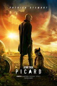 Star trek: picard online (2020) | Kinomaniak.pl