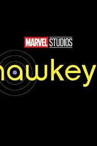 Hawkeye online (2021) | Kinomaniak.pl