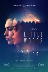 Little woods online (2018) - fabuła, opisy | Kinomaniak.pl