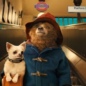 Paddington(2014) - zdjęcia, fotki | Kinomaniak.pl