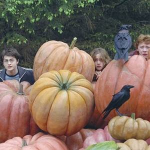 Harry potter i więzień azkabanu/ Harry potter and the prisoner of azkaban(2004) - zdjęcia, fotki | Kinomaniak.pl