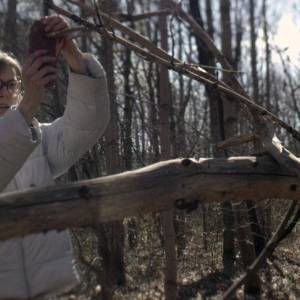 Dzika/ Wild(2016) - zdjęcia, fotki | Kinomaniak.pl