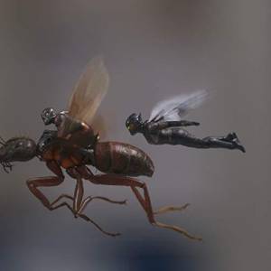 Ant-man i osa/ Ant-man and the wasp(2018) - zdjęcia, fotki | Kinomaniak.pl