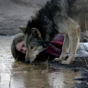 Dzika/ Wild(2016) - zdjęcia, fotki | Kinomaniak.pl
