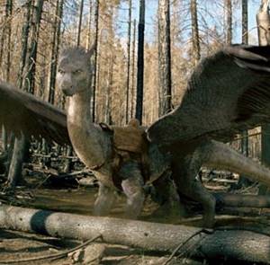 Eragon(2006) - zdjęcia, fotki | Kinomaniak.pl