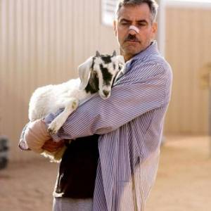 Człowiek, który gapił się na kozy/ Men who stare at goats, the(2009) - zdjęcia, fotki | Kinomaniak.pl