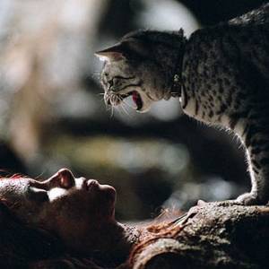 Kobieta-kot/ Catwoman(2004) - zdjęcia, fotki | Kinomaniak.pl