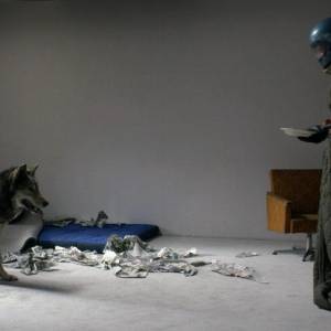Dzika/ Wild(2016) - zdjęcia, fotki | Kinomaniak.pl