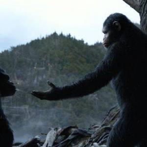 Ewolucja planety małp/ Dawn of the planet of the apes(2014) - zdjęcia, fotki | Kinomaniak.pl