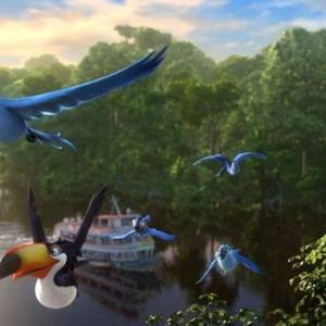 Rio 2(2014) - zdjęcia, fotki | Kinomaniak.pl