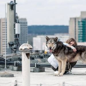 Dzika/ Wild(2016) - zdjęcia, fotki | Kinomaniak.pl