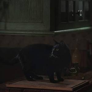 Chilling adventures of sabrina(2018) - zdjęcia, fotki | Kinomaniak.pl