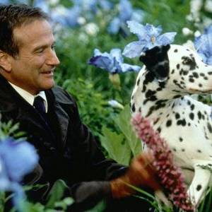 Między piekłem a niebem/ What dreams may come(1998) - zdjęcia, fotki | Kinomaniak.pl