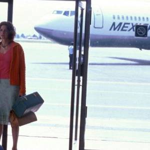 Mexican/ The mexican(2001) - zdjęcia, fotki | Kinomaniak.pl