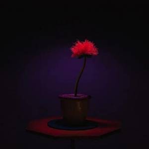 Kwiat szczęścia/ Little joe(2019) - zdjęcia, fotki | Kinomaniak.pl
