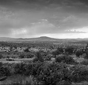 Roma(2018) - zdjęcia, fotki | Kinomaniak.pl