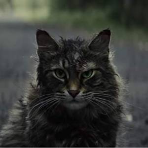 Smętarz dla zwierzaków/ Pet sematary(2019) - zdjęcia, fotki | Kinomaniak.pl