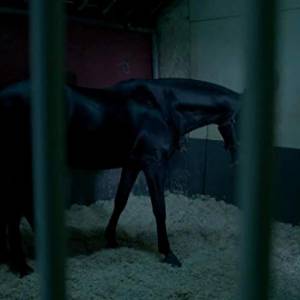 Życie w cuglach/ Free rein(2017) - zdjęcia, fotki | Kinomaniak.pl