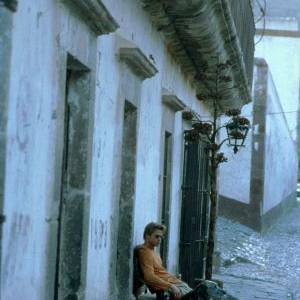 Mexican/ The mexican(2001) - zdjęcia, fotki | Kinomaniak.pl