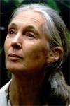 Jane Goodall filmy, zdjęcia, biografia, filmografia | Kinomaniak.pl